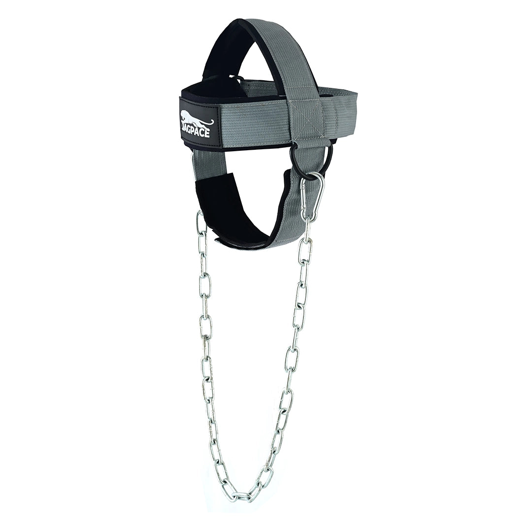 Neck Harness with Steel Chain Padded Neck Strength Trainer